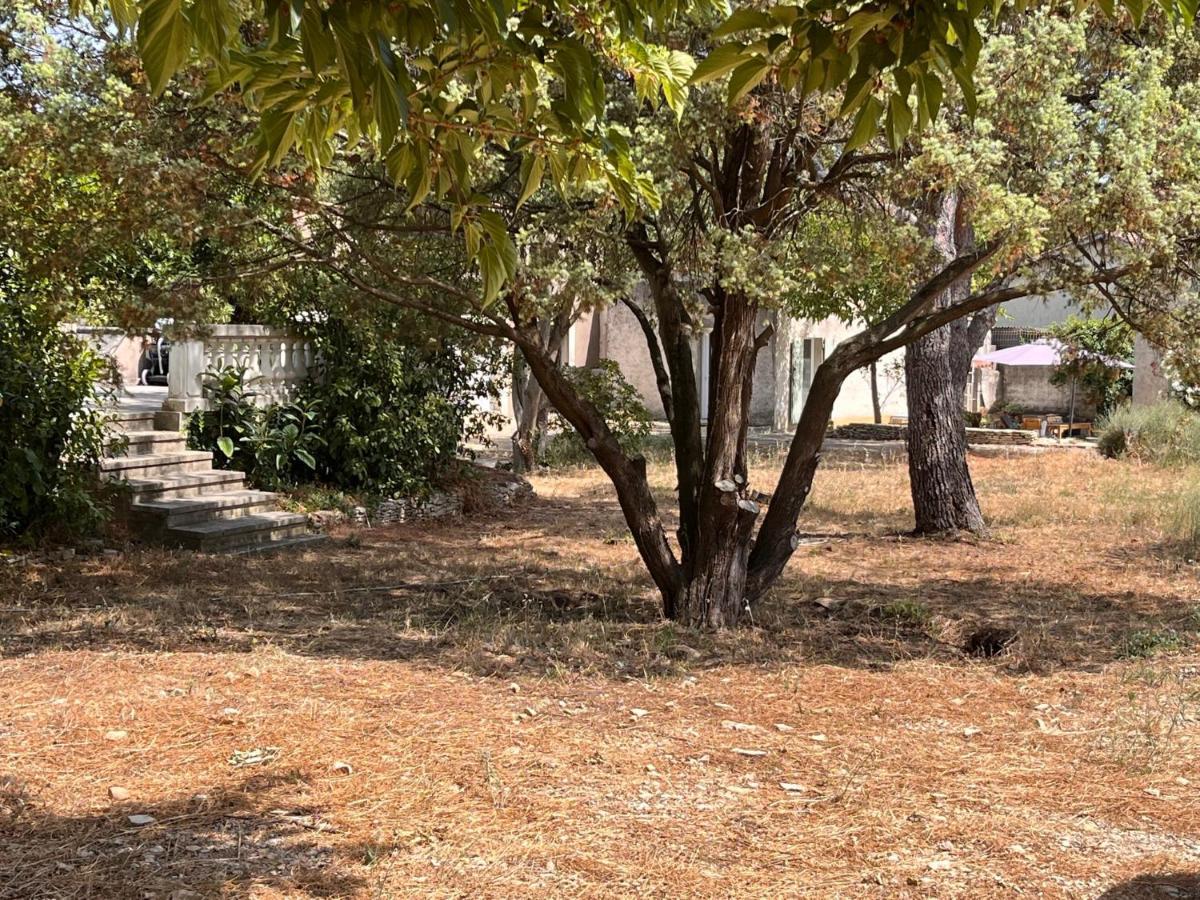 Maisonnette indépendante avec jardin/patio Nimes Exterior foto